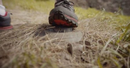 image-d5d68ea25575a0876cf179a58ed2692f