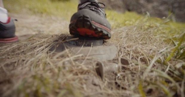 image-d5d68ea25575a0876cf179a58ed2692f