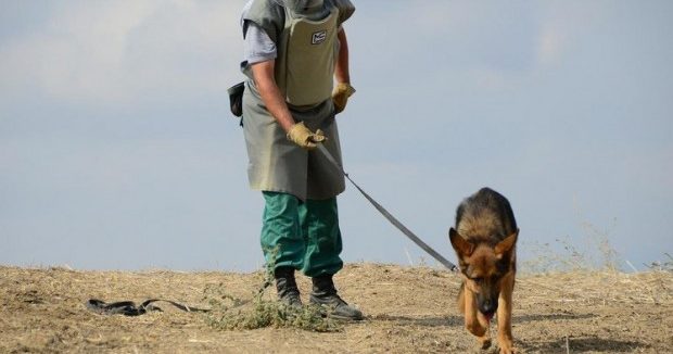 image-41