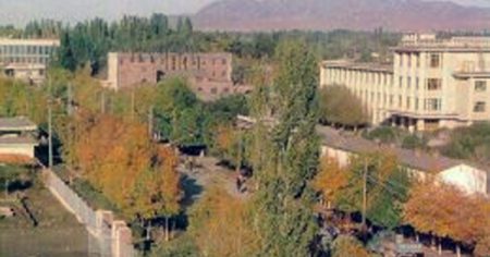 image-01