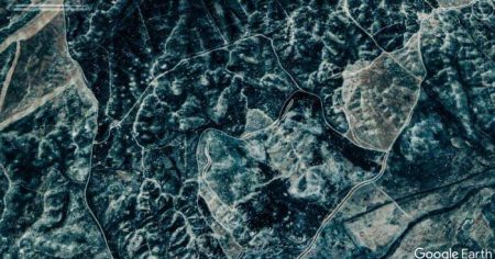 image-78997-1648898356