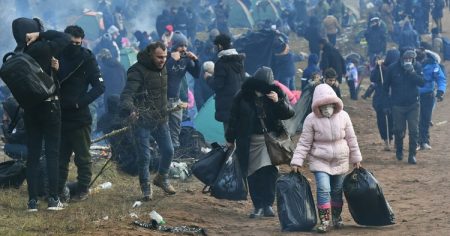 image-image_750x_622f3b54bde3e