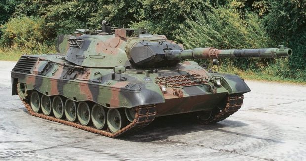 image-leopard-1068x501
