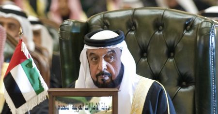 image-xelife-bin-zayed-al-nehyan