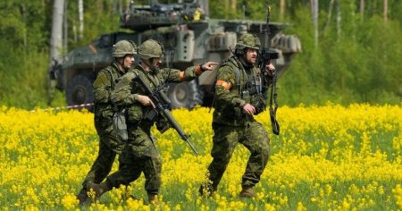 image-nato