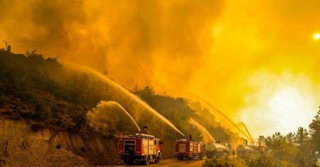 image-04b8624ade64f83dd9e75fa79ad5f884